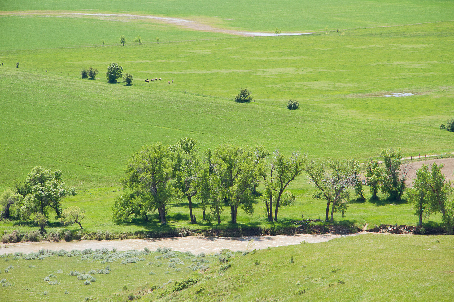 Little Big Horn River, Little Big Horn National Battlefield, Crow Reservation, Montana, 2011 by Sue Reynolds