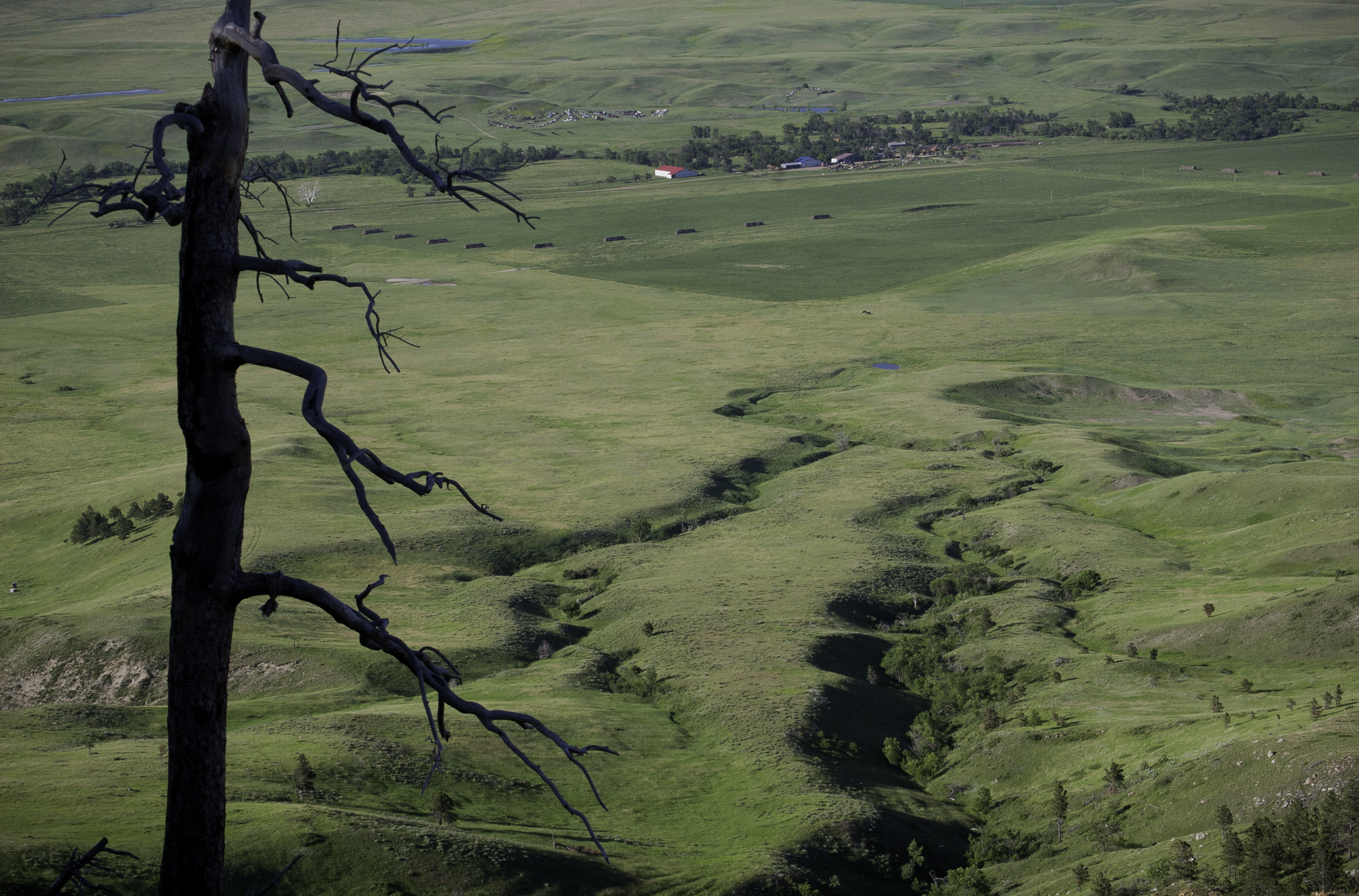Prairie and Ranches From Bear Butte, Black Hills of South Dakota, 2009 by Sue Reynolds