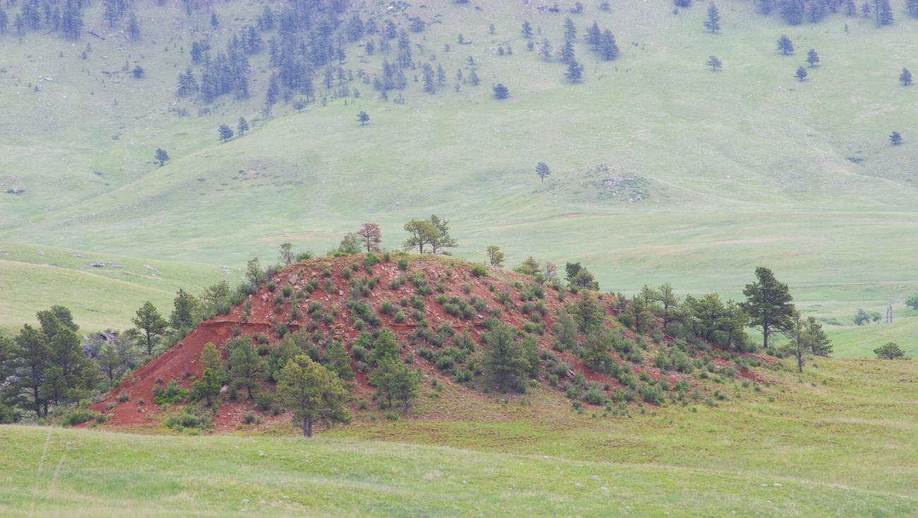 Wind Cave National Park, South Dakota, 2009 by Sue Reynolds